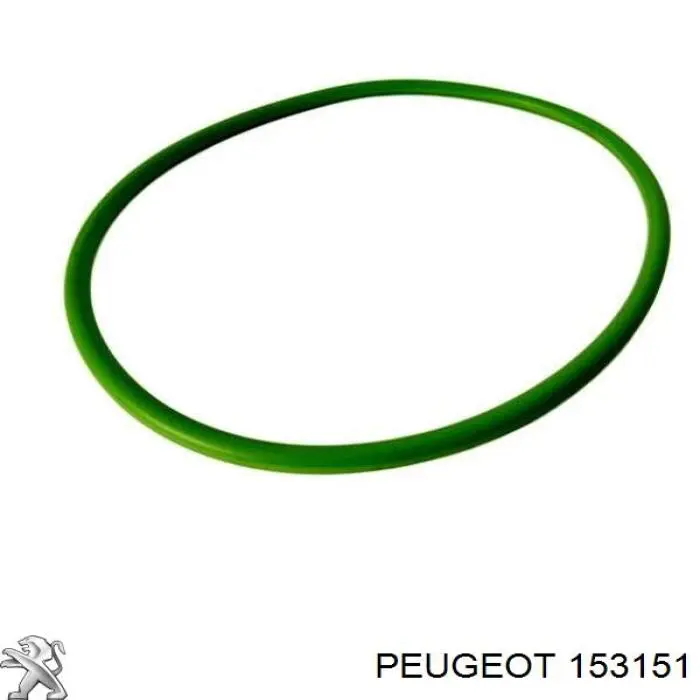 Купити 153151 Peugeot/Citroen Прокладка датчика рівня (топл.бак)