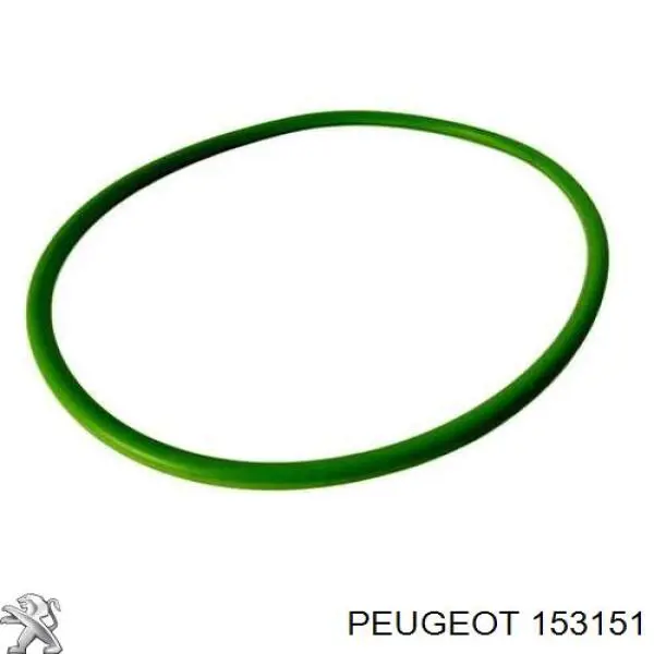 153151 Peugeot/Citroen Прокладка датчика рівня (палив.бак)