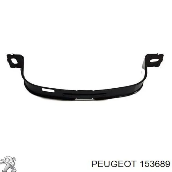 Купити 153689 Peugeot/Citroen 