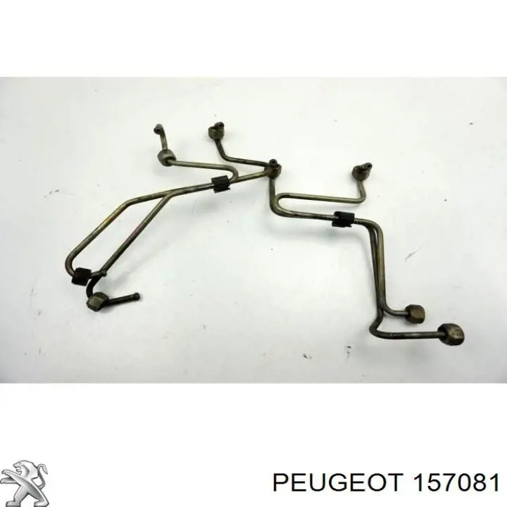 Купити 157081 Peugeot/Citroen Трубка паливна, комплект