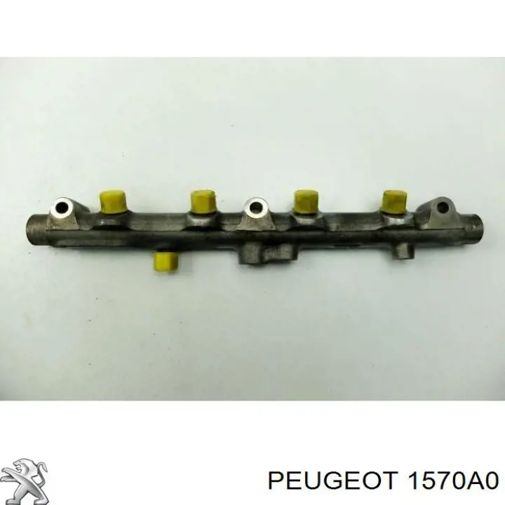 1570A0 Peugeot/Citroen Паливна рампа