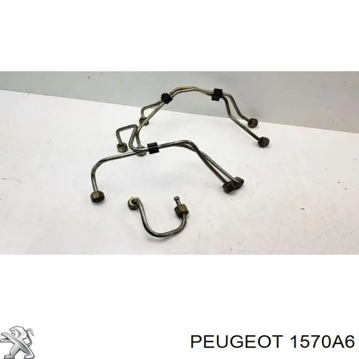 Трубка паливна, від ПНВТ до паливної рейки Peugeot/Citroen 1570A6 ціна, від 9.84 USD