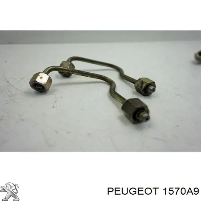 Трубка паливна, від ПНВТ до паливної рейки Peugeot 406 (8E, F) (Пежо 406)