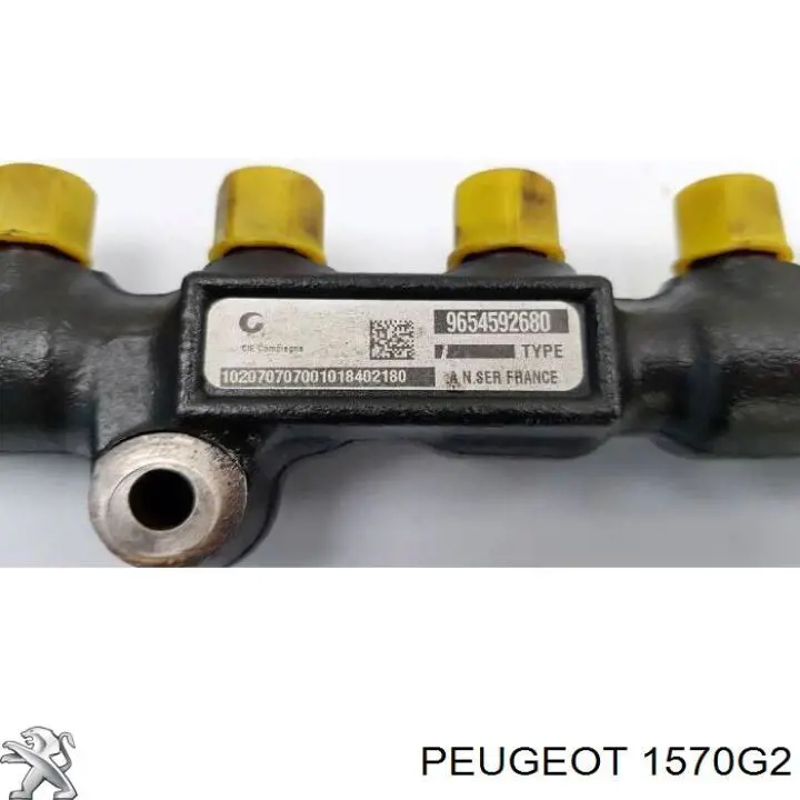 Купити 1570G2 Peugeot/Citroen Розподільник палива
