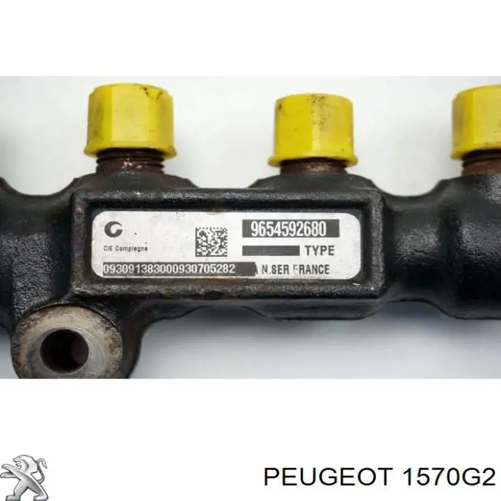 Розподільник палива 1570G2 Peugeot/Citroen