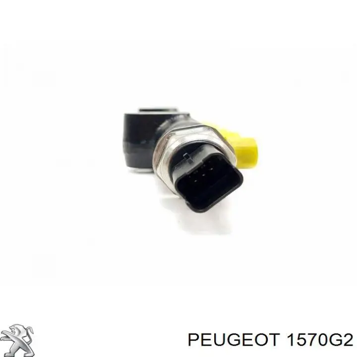 Рампа форсунок системи упорскування палива Peugeot/Citroen 1570G2 ціна, від 5.02 USD