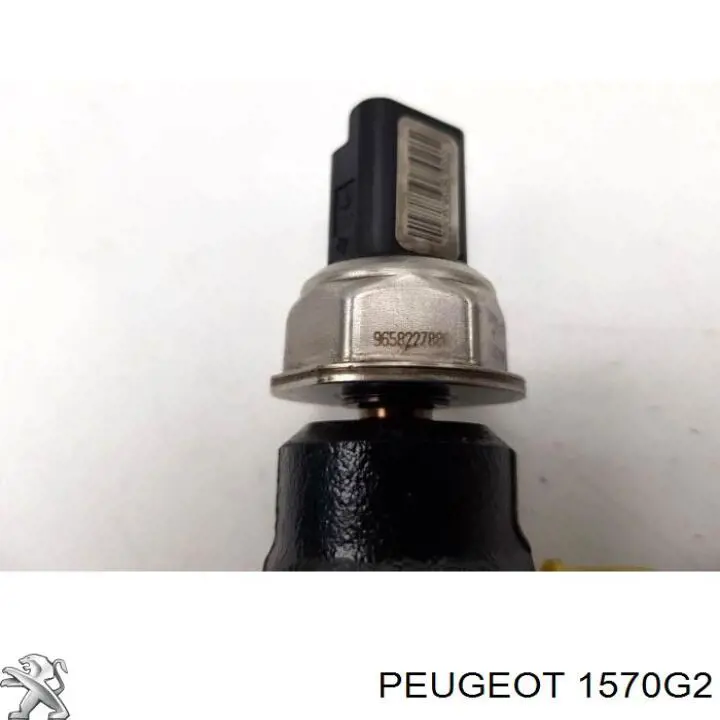 Паливна рампа Peugeot/Citroen 1570G2