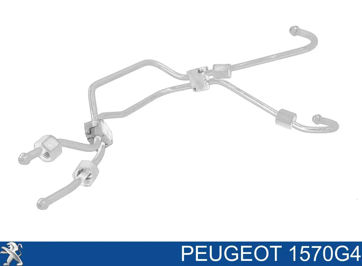 Трубка паливна, комплект Peugeot/Citroen 1570G4 ціна, від 12.67 USD