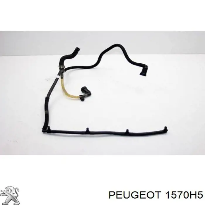 Трубка паливна, від ПНВТ до паливної рейки Peugeot/Citroen 1570H5 ціна, від 16.47 USD
