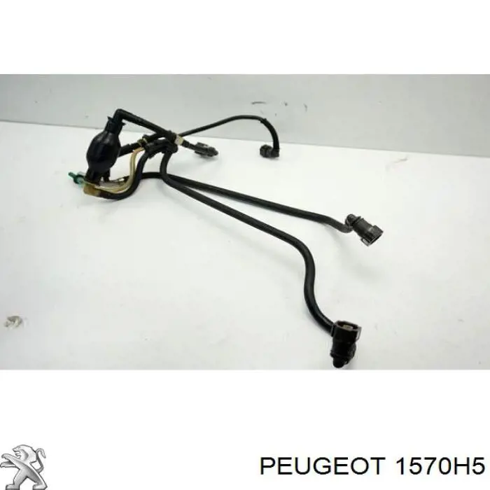 Трубка паливна, від ПНВТ до паливної рейки Peugeot/Citroen 1570H5 ціна, від 16.47 USD