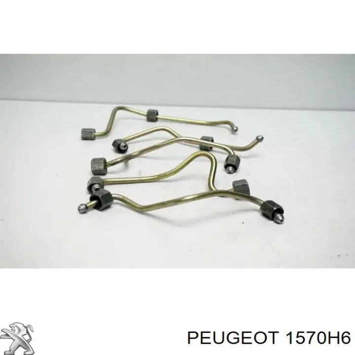 Купити 1570H6 Peugeot/Citroen Трубка паливна форсунки 1-го циліндру
