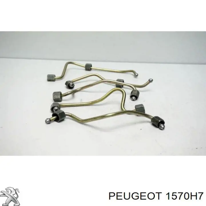 Трубка паливна форсунки 2-го циліндру Peugeot/Citroen 1570H7 ціна, від 3.18 USD