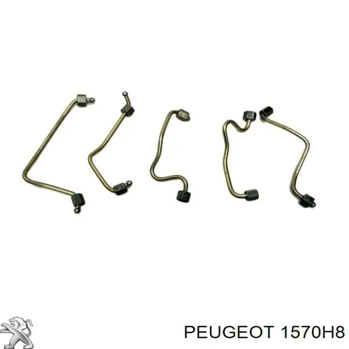 Трубка паливна форсунки 3-го циліндру Peugeot/Citroen 1570H8 ціна, від 3.18 USD