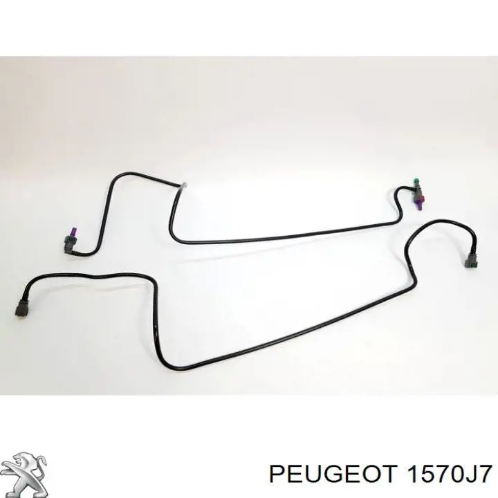 Купити 1231947 Ford Розподільник палива