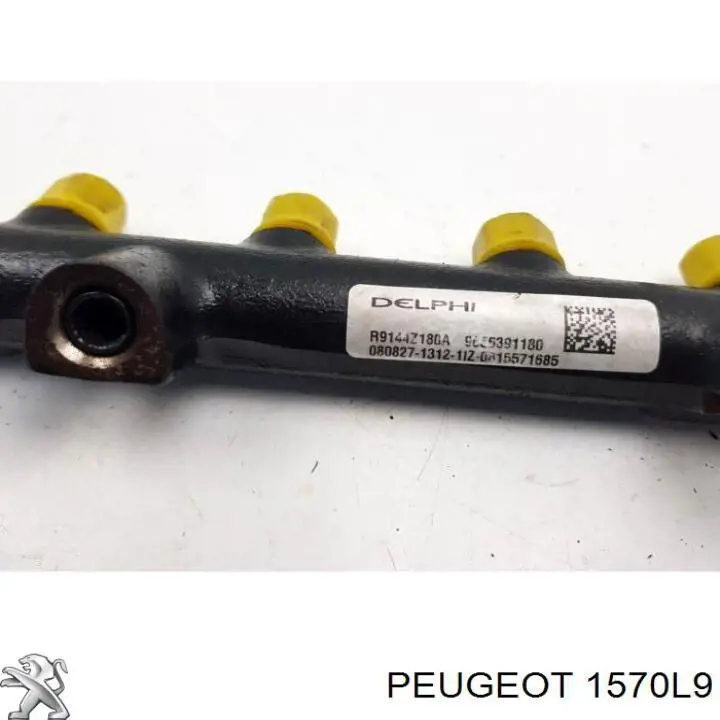 Рампа форсунок системи упорскування палива Peugeot/Citroen 1570L9 ціна, від 291.99 USD