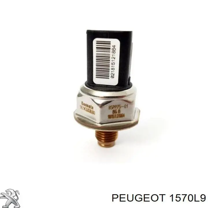 1570L9 Peugeot/Citroen Паливна рампа