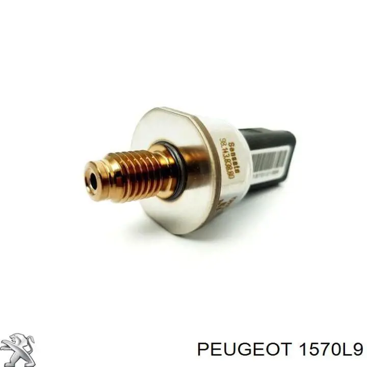 Рампа форсунок системи упорскування палива Peugeot/Citroen 1570L9 ціна, від 274.35 USD