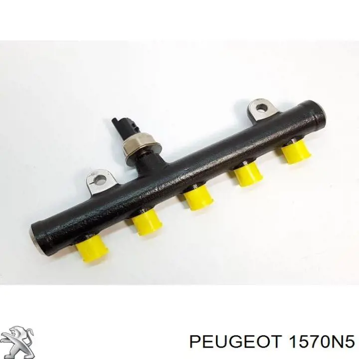Розподільник палива Peugeot 307 200 (3B) (Пежо 307)