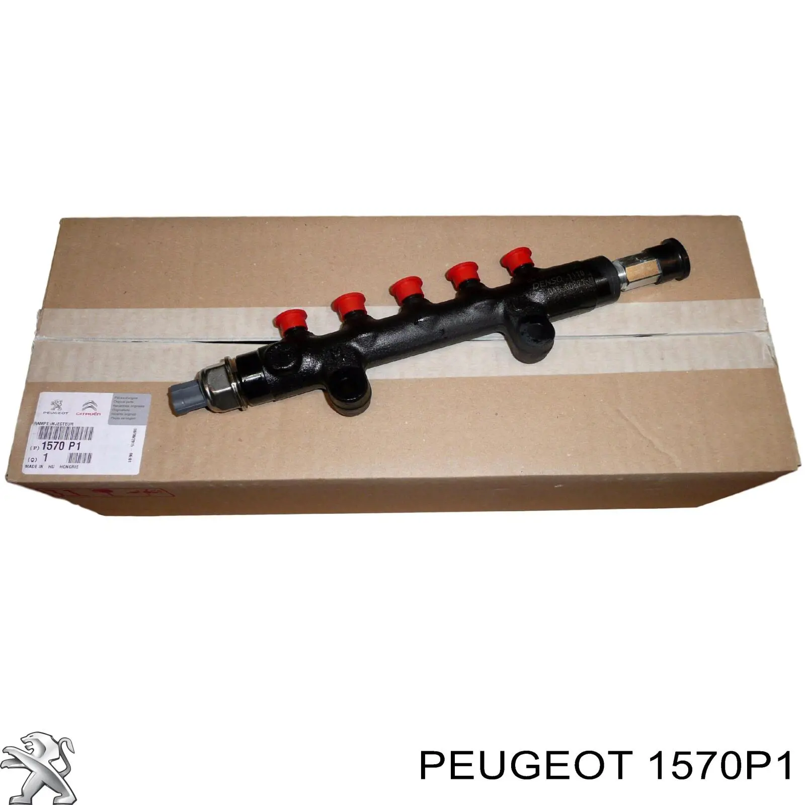Рампа форсунок системи упорскування палива Peugeot/Citroen 1570P1 ціна, від 18.90 USD