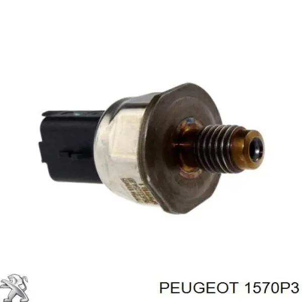 Рампа форсунок системи упорскування палива Peugeot/Citroen 1570P3 ціна, від 11.50 USD