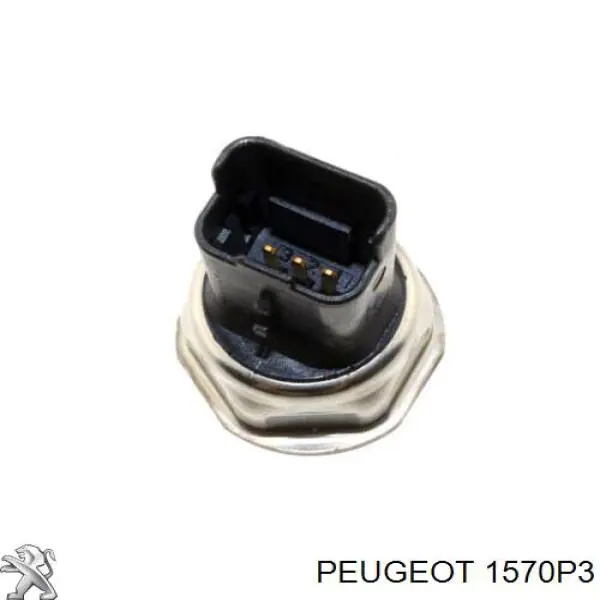 Купити 1570P3 Peugeot/Citroen Розподільник палива