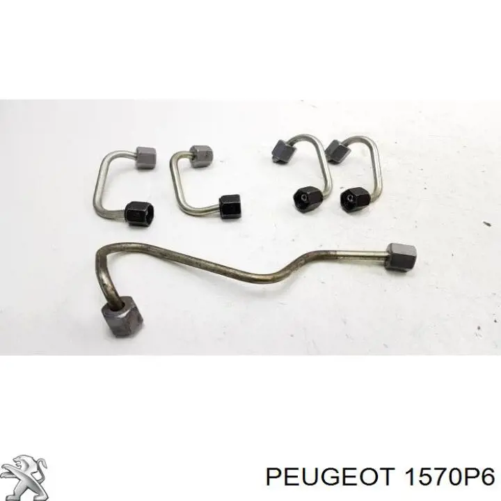 1570P6 Peugeot/Citroen 