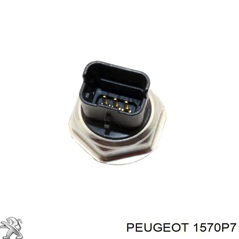 Рампа форсунок системи упорскування палива Peugeot/Citroen 1570P7 ціна, від 16.87 USD