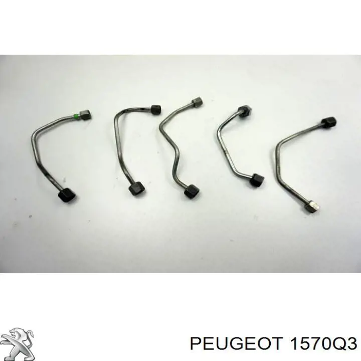 1570Q3 Peugeot/Citroen Трубка паливна, від ПНВТ до паливної рейки