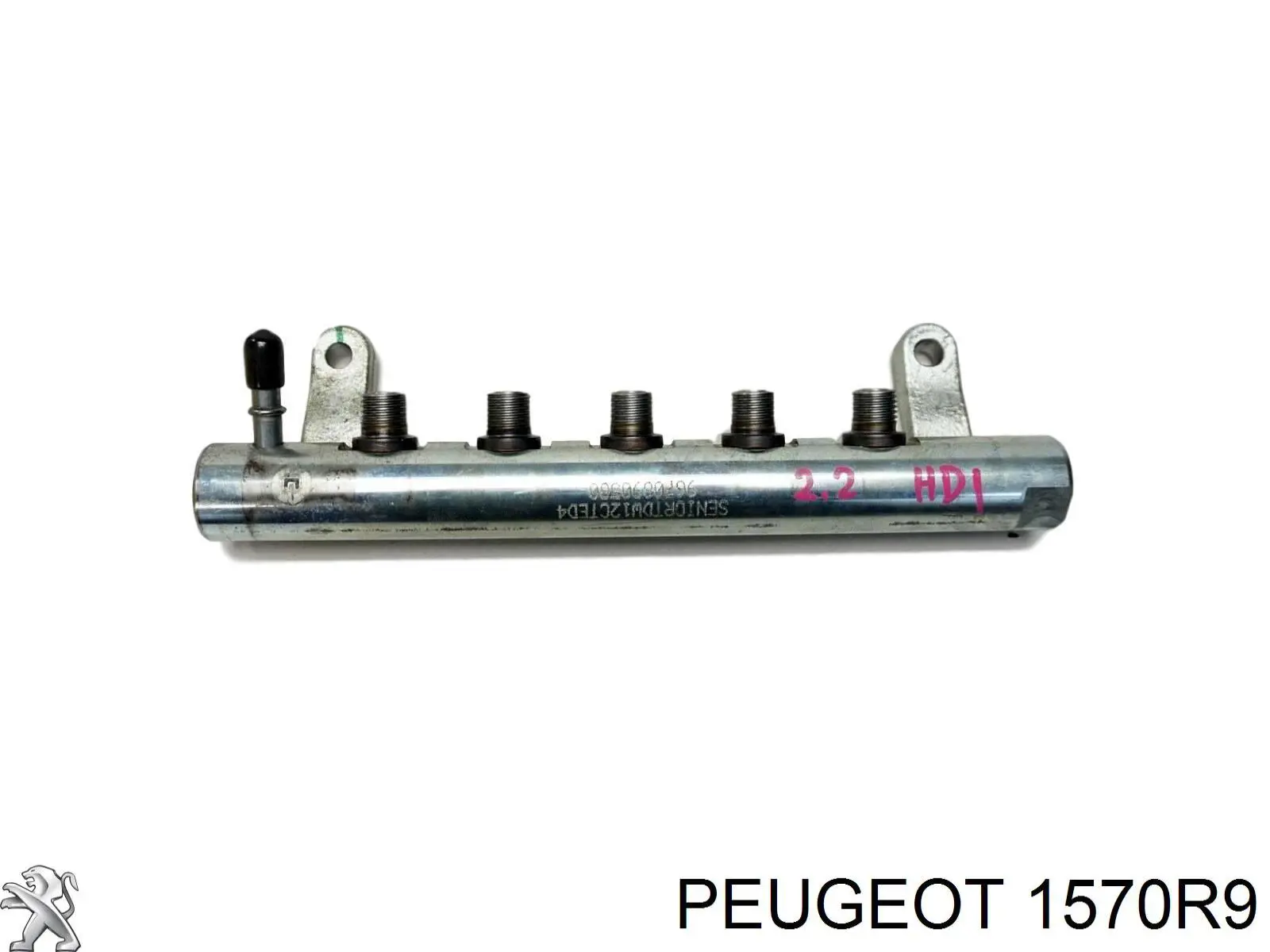 1570R9 Peugeot/Citroen 