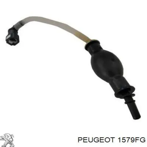 Трубка паливна, від бака до паливного фільтру Peugeot/Citroen 1579FG ціна, від 12.46 USD