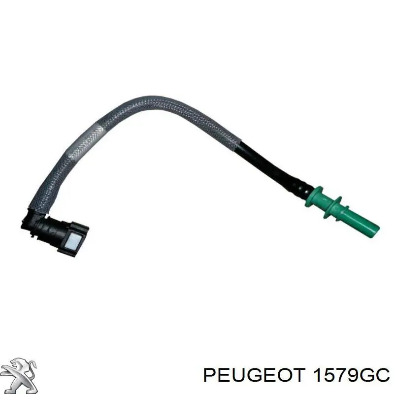Трубка паливна, від бака до паливного фільтру Peugeot/Citroen 1579GC ціна, від 10.28 USD