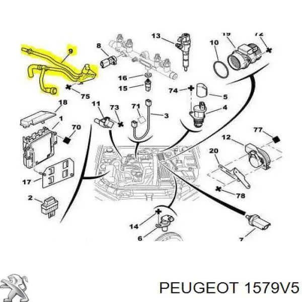 Паливна трубка зворотна від фільтра до бака Peugeot 307 (3A, 3C) (Пежо 307)