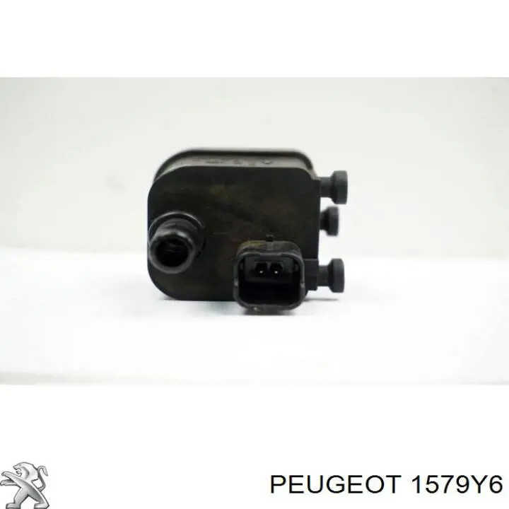 Датчик температури палива Peugeot/Citroen 1579Y6 ціна, від 43.03 USD