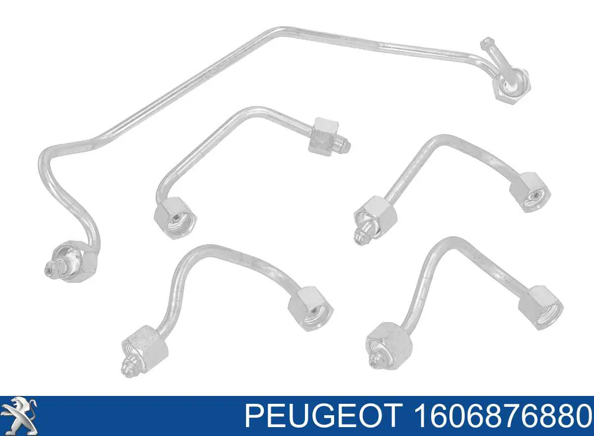 1606876880 Peugeot/Citroen Трубопроводи паливні