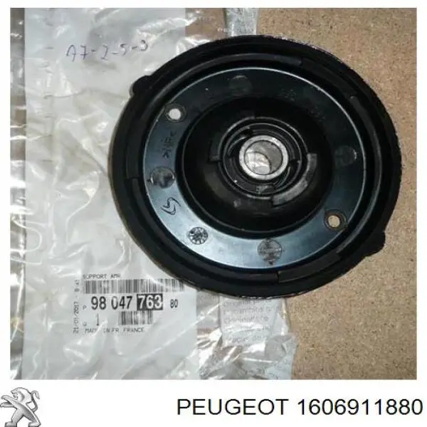  Peugeot/Citroen 1606911880