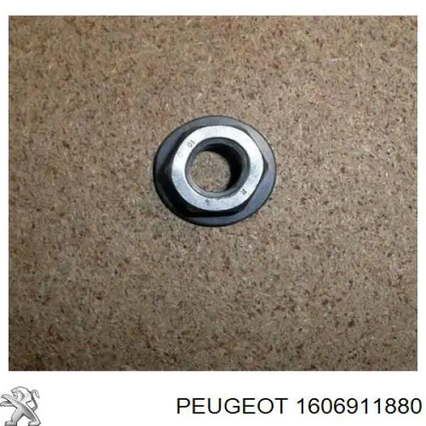 1606911880 Peugeot/Citroen 