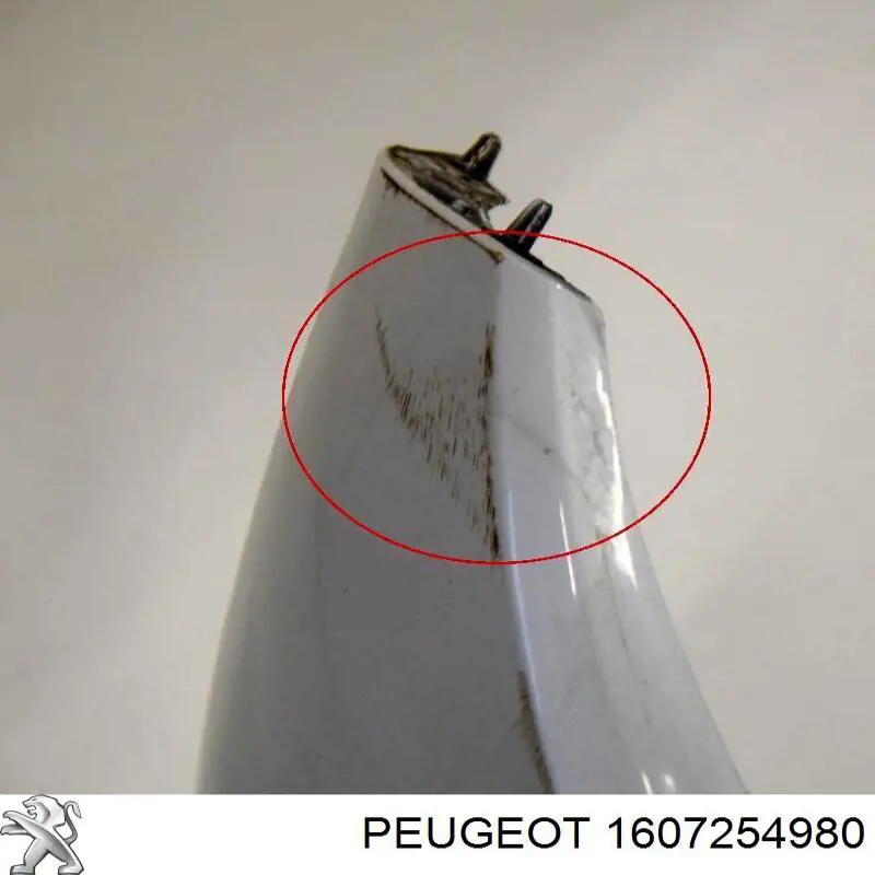 Купити 1607254980 Peugeot/Citroen Задній бампер