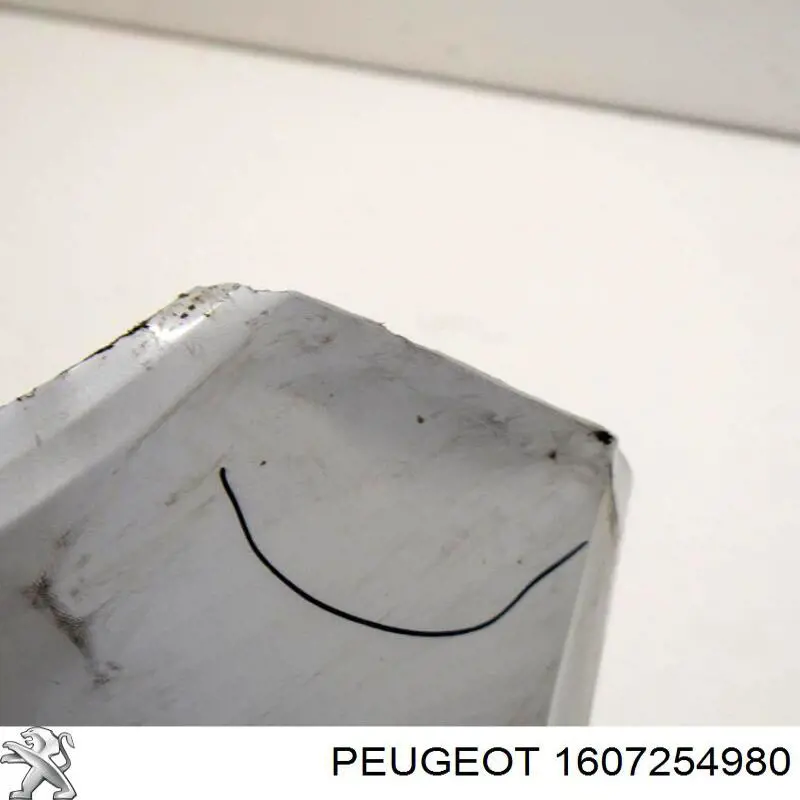 1607254980 Peugeot/Citroen Буфер (бампер) задній
