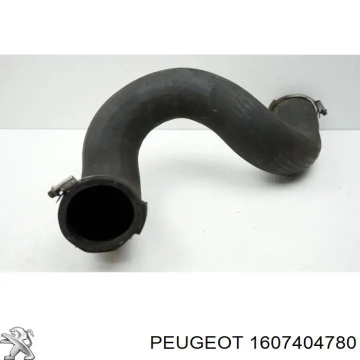  1607404780 Peugeot/Citroen