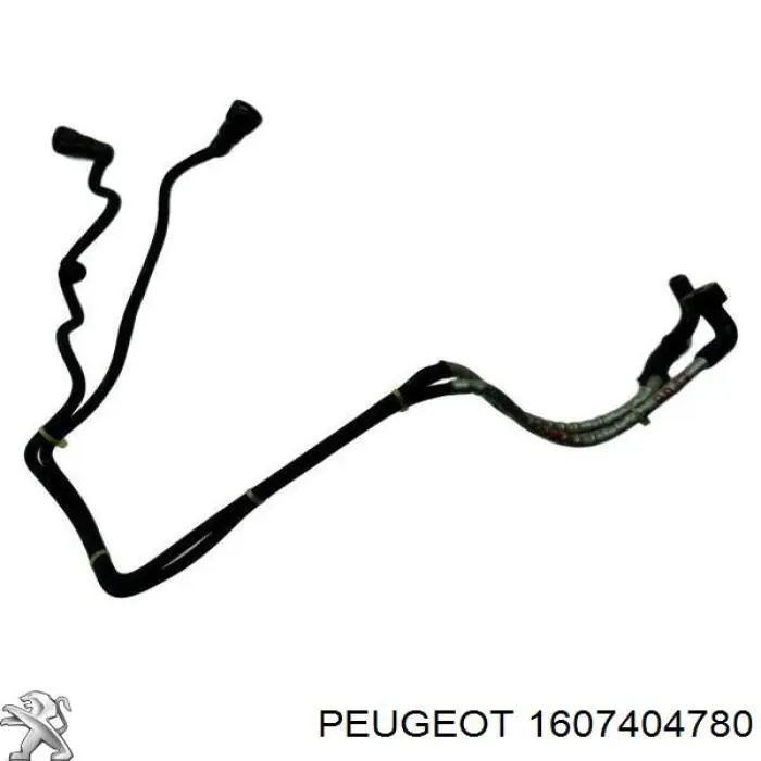  Peugeot/Citroen 1607404780