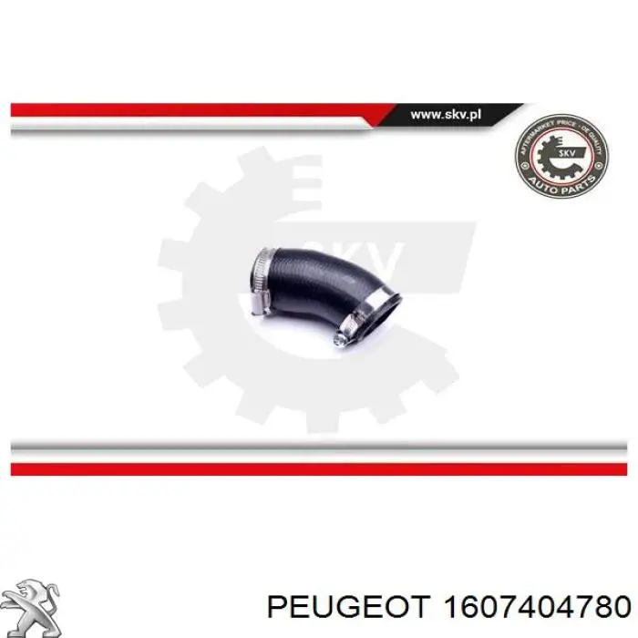  1607404780 Peugeot/Citroen