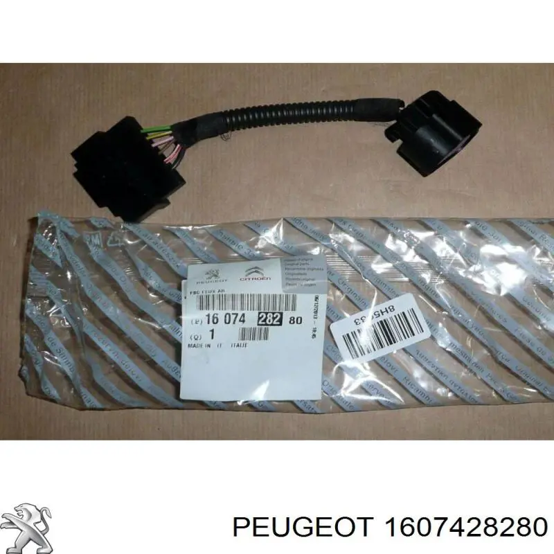 Роз'єм (фішка) заднього ліхтаря 1370206080 Fiat/Alfa/Lancia