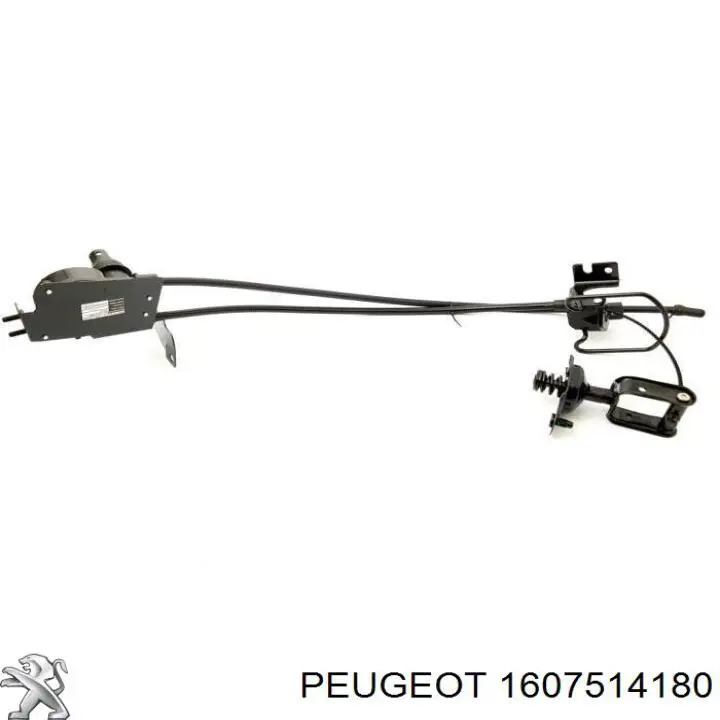 Лебідка запасного колеса Peugeot/Citroen 1662233180