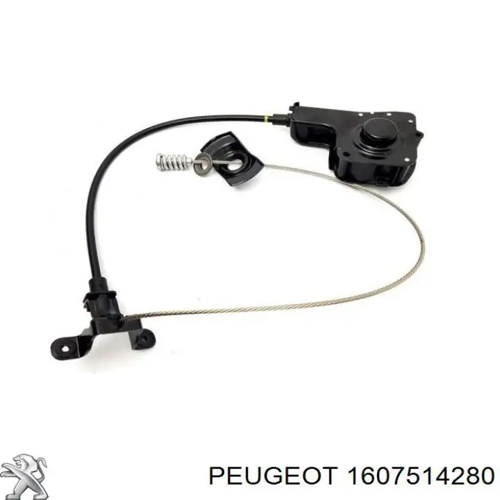 Талі підйому запасного колеса Peugeot/Citroen 1662233180 ціна, від 168.65 USD