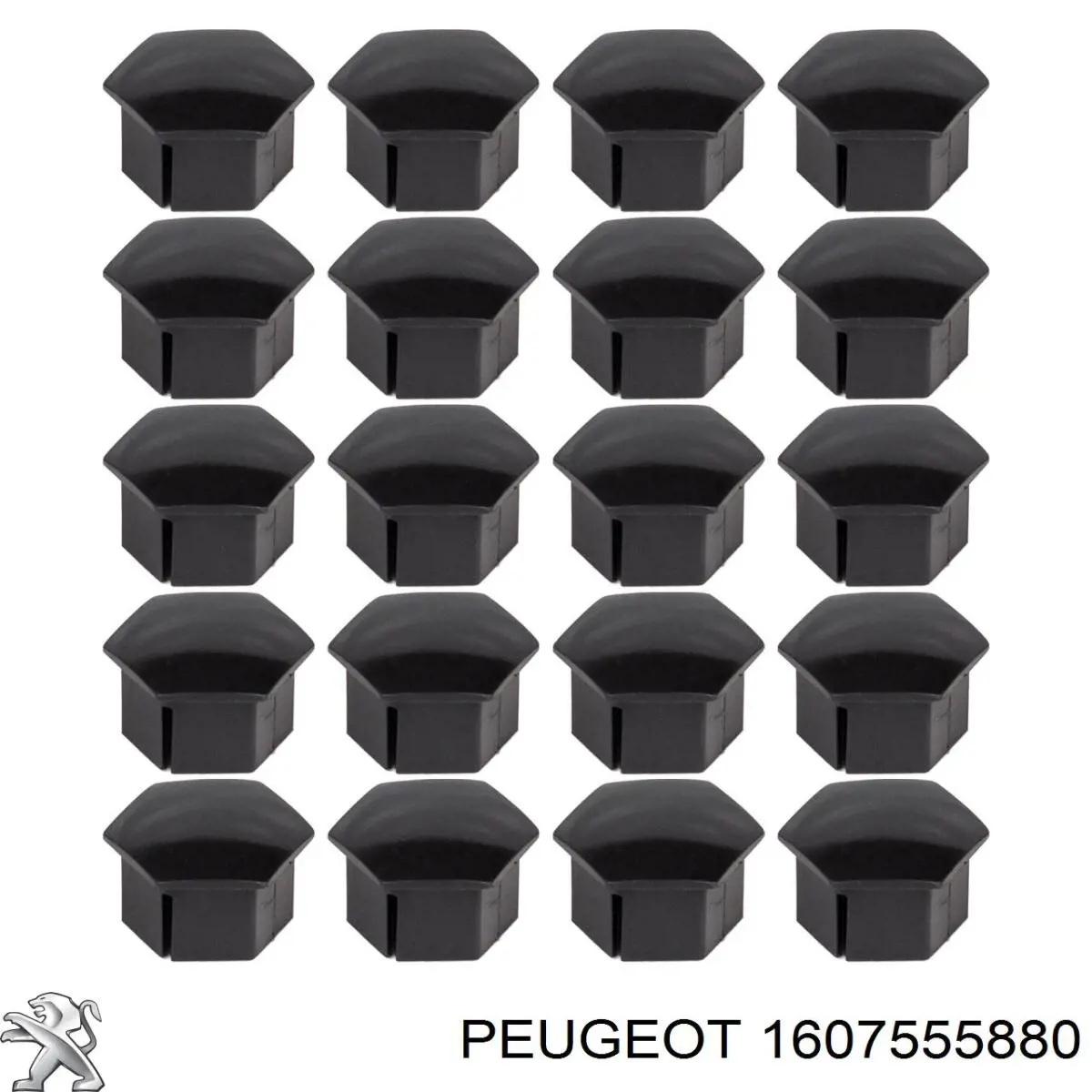 1607555880 Peugeot/Citroen