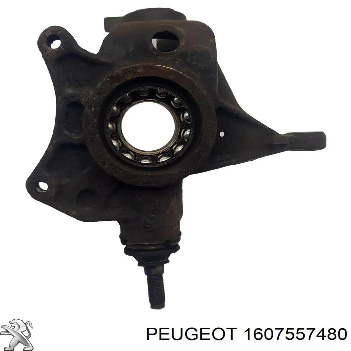 Купити ZWPE005L Polcar Цапфа передня ліва