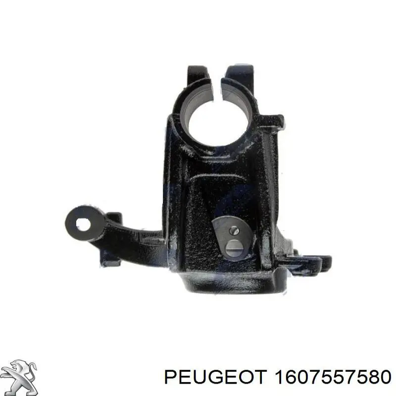 Купити 1607557580 Peugeot/Citroen Цапфа передні праві