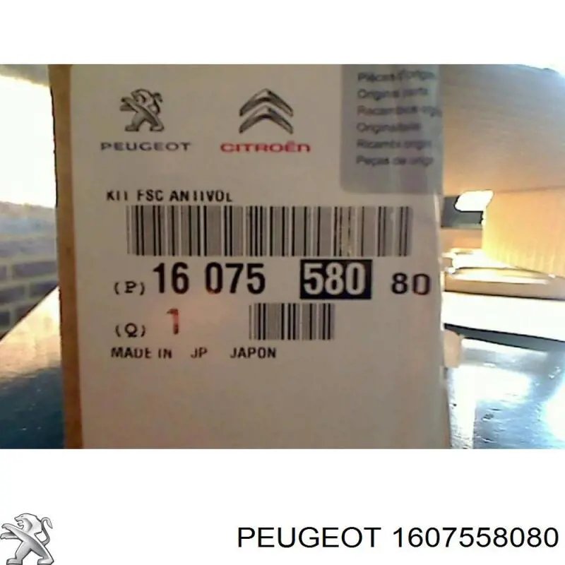 1607558080 Peugeot/Citroen 