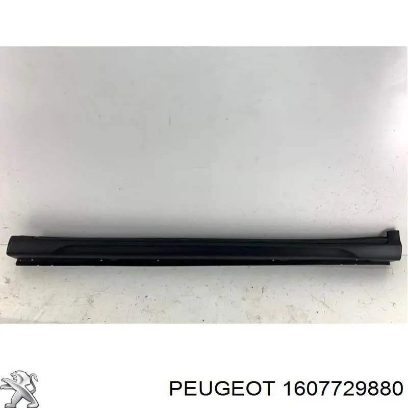  1607729880 Peugeot/Citroen