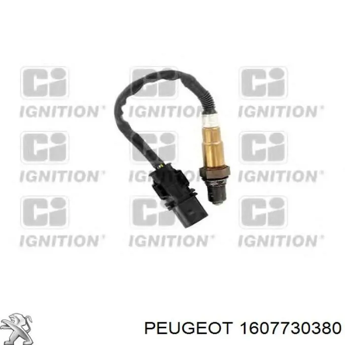 1607730380 Peugeot/Citroen ремкомплект супорту гальмівного заднього